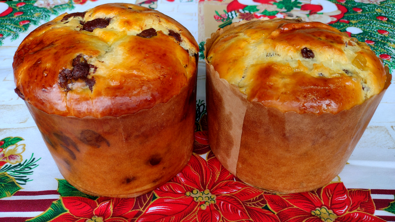 Panetone caseiro com gotas de chocolate: uma delícia para o Natal